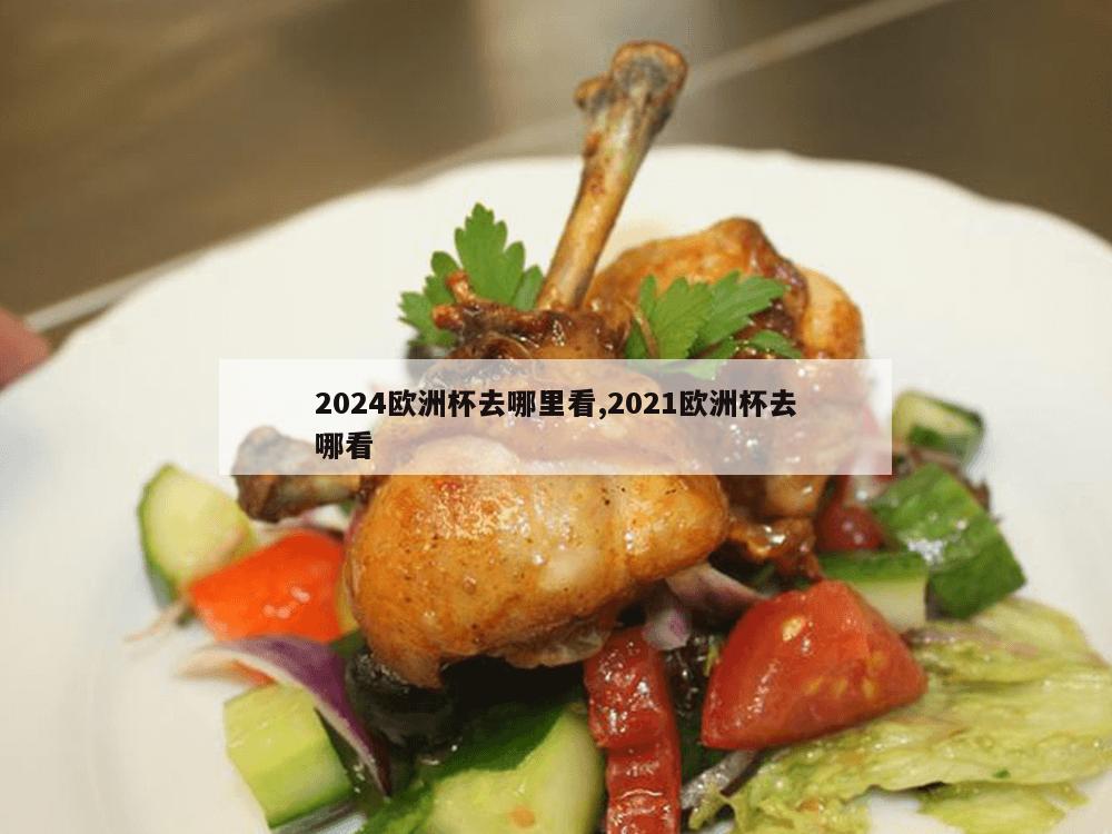 2024欧洲杯去哪里看,2021欧洲杯去哪看